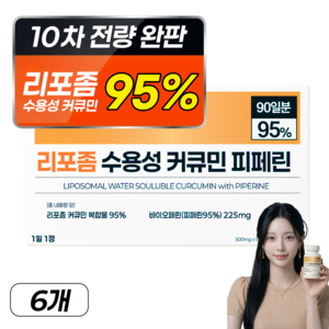 강황 수용성 리포좀 커큐민 피페린 100% 인도산 식약처 인증 haccp 바이오페린 비엔엘, 6개, 90정