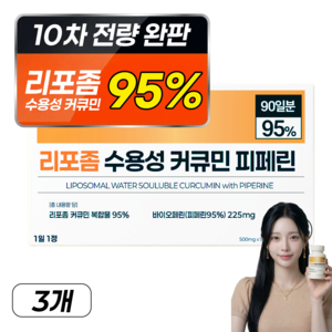 강황 수용성 리포좀 커큐민 피페린 100% 인도산 식약처 인증 haccp 바이오페린 비엔엘, 3개, 90정