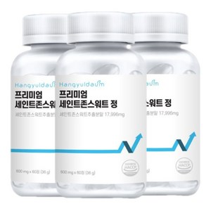 [국내생산]한결다움 프리미엄 세인트존스워트 성요한풀 600mg 60정, 60정, 4개