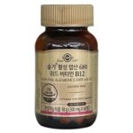 비타민B12 섭취 부족 악성 빈혈 쇼핑몰 추천 BEST 5 어디서 사는 게 이득일까 EBB984ED8380EBAFBCB12-EC84ADECB7A8-EBB680ECA1B1-EC9585EC84B1-EBB988ED9888-1-1777513493361