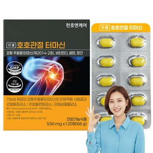 천호엔케어 호호관절 터마신 관절영양제 강황추출물, 1박스, 120정