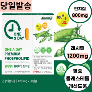 50대 사모님 중성지방 낮추는 인지질 90캡슐 레시틴 1일1회1캡슐 3개월분 100% 식물성 대두래시틴 콜레스테롤관리 혈액순환개선 캐나다 완제품 직수입