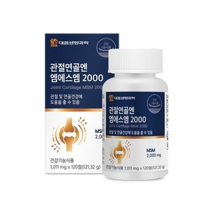 대웅생명과학 관절연골엔 엠에스엠 2000, 120정, 1개