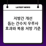 지방간 개선 돕는 간수치 우루사 효과와 복용 처방 기준 thumbnail