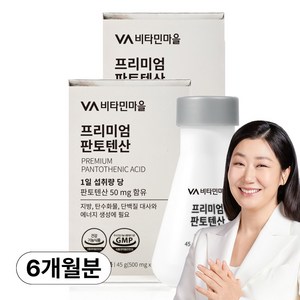 비타민마을 영국산 프리미엄 판토텐산 비타민B5 3개월분, 90정, 2개