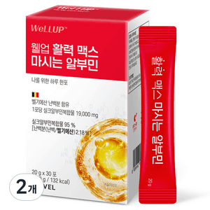 웰업 로엘 활력 맥스 마시는 알부민 30p, 600g, 2개