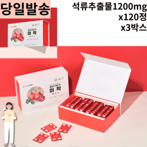 60대 70대 어머니 갱년기여성N 미작플러스120정 1.4cm정제사이즈 주부 여성 은행잎추출 비타민d 플라보놀 배당체 폐경기 기억력 혈행개선 기억력 혈관확장 학습효율 개선 도움