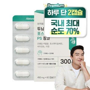 네추럴라이즈 두뇌엔 포스파티딜세린PS 징코 기억력&인지력 개선 은행잎추출물 징코빌로바 60캡슐, 60정, 10개