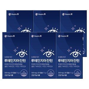 휴온스 루테인 지아잔틴, 30정, 6개