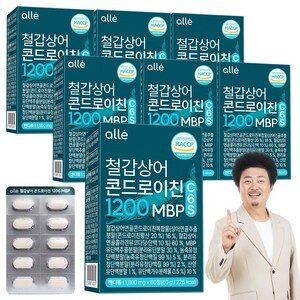철갑상어 연골 콘드로이친 1200 MBP 식약청 HACCP 알레, 7개, 60정