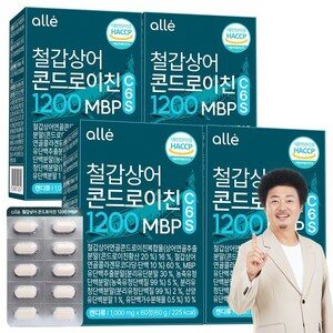 철갑상어 연골 콘드로이친 1200 MBP 식약청 HACCP 알레, 4개, 60정