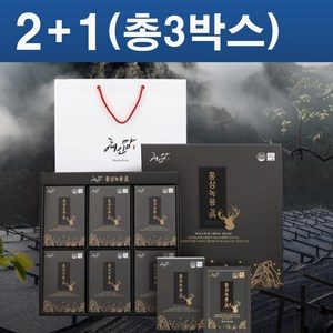 [혜.인.담] 홍.삼.녹.용 진 50ml X 30포 +쇼핑백 (뉴질랜드산 녹용농축액+국내산 6년근홍삼)