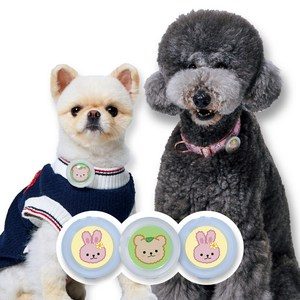 강아지 진드기 퇴치 산책 클립3종세트