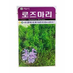 로즈마리 씨앗 70립 [26년포장] 허브씨앗 아람
