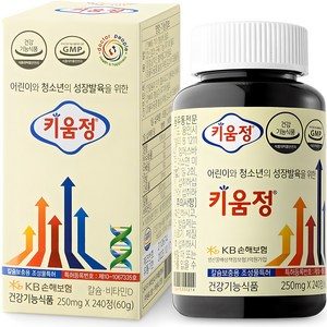 키움정, 240정, 1개