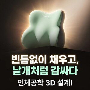 오르지 허리를 탄탄하게 받쳐주는 요추 지지대 쿠션, 민트그레이