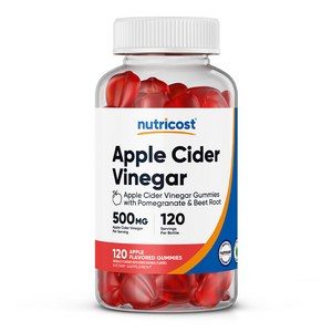 애플 사이다 비니거 500mg 120구미 1병, 120회분, 1개