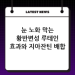 눈 노화 막는 황반변성 루테인 효과와 지아잔틴 배합 확인하는 법 thumbnail