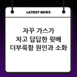 자꾸 가스가 차고 답답한 윗배 더부룩함 원인과 소화 돕는 습관 thumbnail