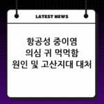 항공성 중이염 의심 귀 먹먹함 원인 및 고산지대 대처 요령 thumbnail