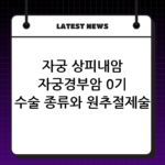 자궁 상피내암 자궁경부암 0기 수술 종류와 원추절제술 후 회복 관리 thumbnail