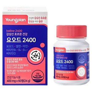 영플랜 요오드 2400 갑상선 호르몬 건강