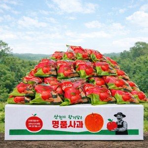 하루딱100박스 고당도선별 세척사과 껍질째먹는 꿀사과, 1박스, 2kg