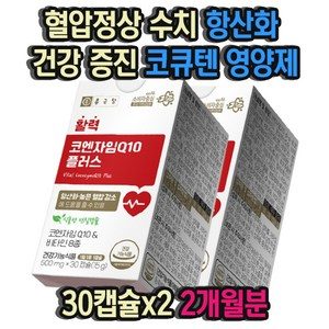혈압정상 수치 항산화 건강 증진 코큐텐 혈압 영양제 30캡슐x2 2개월분 중성지방 혈당조절 당뇨관리 당케어 당뇨환자선물