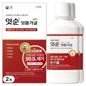 잇순 잇몸붓기 염증 예방 특허성분 입냄새제거 프로폴리스 천일염 병풀 구강청결제, 2개, 600ml