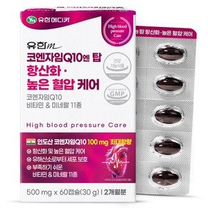 유한메디카 코엔자임 Q10 엔 탑 항산화 높은 혈압 케어 60p, 30g, 1개