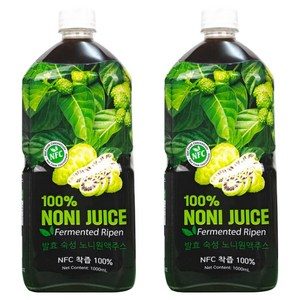 파모빗 발효 숙성 노니원액주스 착즙액, 2개, 1L