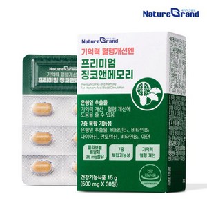 네이처그랜드 프리미엄 징코 메모리 1개월분 기억력개선 은행잎추출물, 1개, 30정