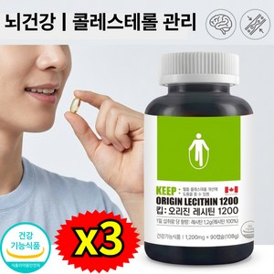 어르신 노인 기억력 콜레스테롤관리 두뇌건강