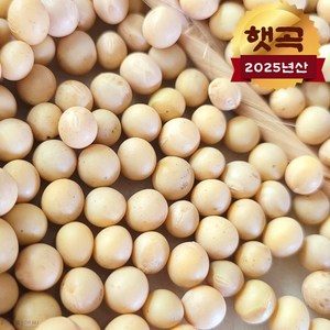 [백창섭] 파주장단콩 백태 1kg ~10kg 선택 2025년 11월 수확 100% 국내산
