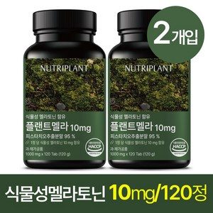 플랜트멜라 식물성 멜라토닌 10mg 뉴트리플랜트 식약청인증, 2개, 120정