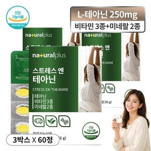 알파파 발생 스트레스 극복 케어 보조제 마그네슘 아연 비타민 B6 C