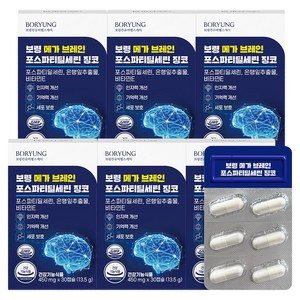 보령 메가 브레인 포스파티딜세린 징코 13.5g