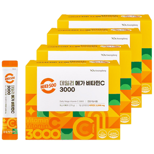 광동 비타500 데일리 메가 비타민C 3000 고함량 비타민c, 4개, 270g