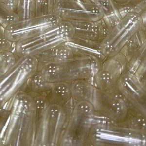 라이프건강 식약청허가 식물성 공캡슐(100mg 투명) 100캡슐, 100개