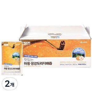 제철장터 맛있는 하동 생강도라지배즙 30p