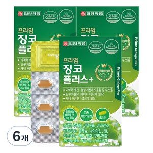 일양약품 프라임 징코 플러스