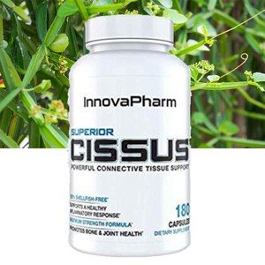 InnovaPharm Superior Cissus 이노바팜 슈페리어 시서스 씨서스 4800mg 180캡슐