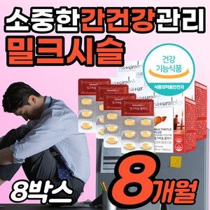 [밀크시슬추천] 간건강 영양제 간에 좋은 식품 간기능 개선 도움 밀크 밀키 밀코 밀쿠 시술 시슬 씨슬 씨술 효과 야간 고함량 힘 파워 퓨어 감소 저하 좋은 음식 노인 어르신 선물