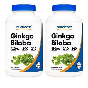 뉴트리코스트 징코빌로바 은행잎 추출 120mg 240캡슐 x 2통 Ginkgo Biloba, 240정, 2개
