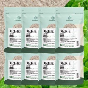 차전자피 100% 식이섬유 분말 가루