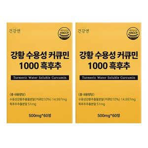 강황 수용성 커큐민 1000 흑후추 식약청인증 HACCP 건강앤, 60정, 2개