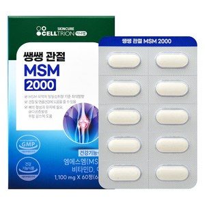 이너랩 쌩쌩관절 MSM 2000 66g