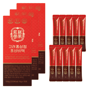 웰트릿 고려홍삼정 홍삼비책 10p, 3개, 100g